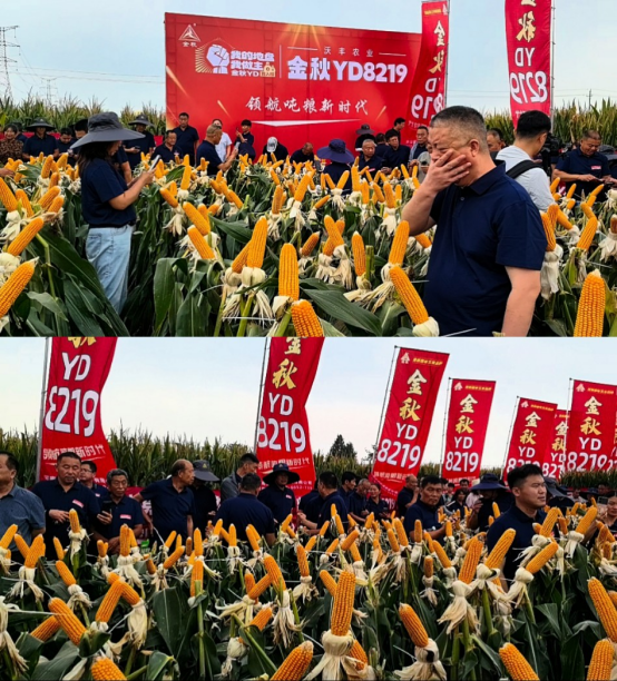 1759050883104388.png image.png