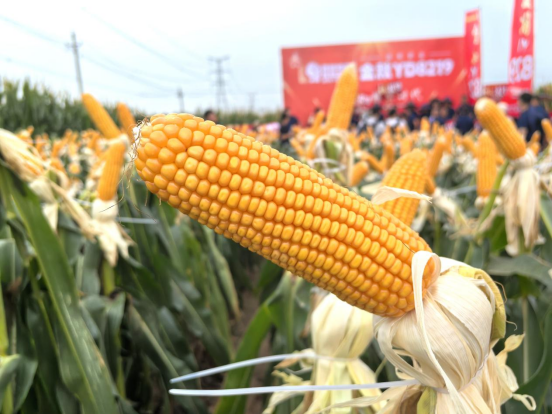 1759050895229343.png image.png