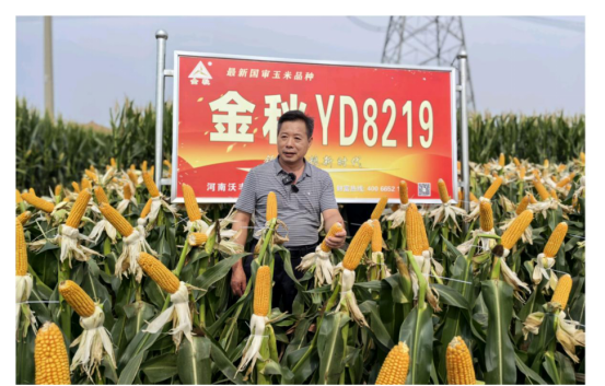 1759050912421509.png image.png