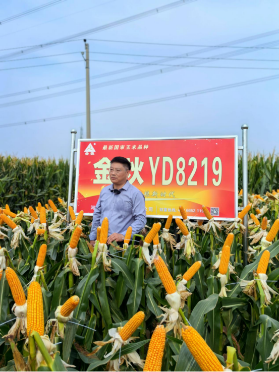 1759050926812309.png image.png