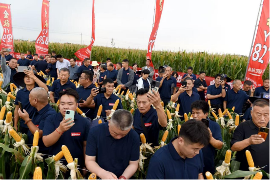 1759050954498918.png image.png