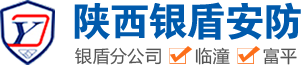 陕西银盾安防有限公司