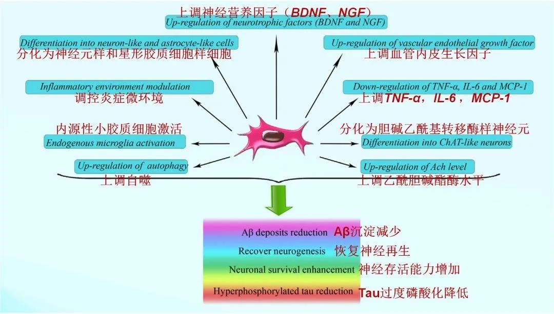 6406.webp.jpg