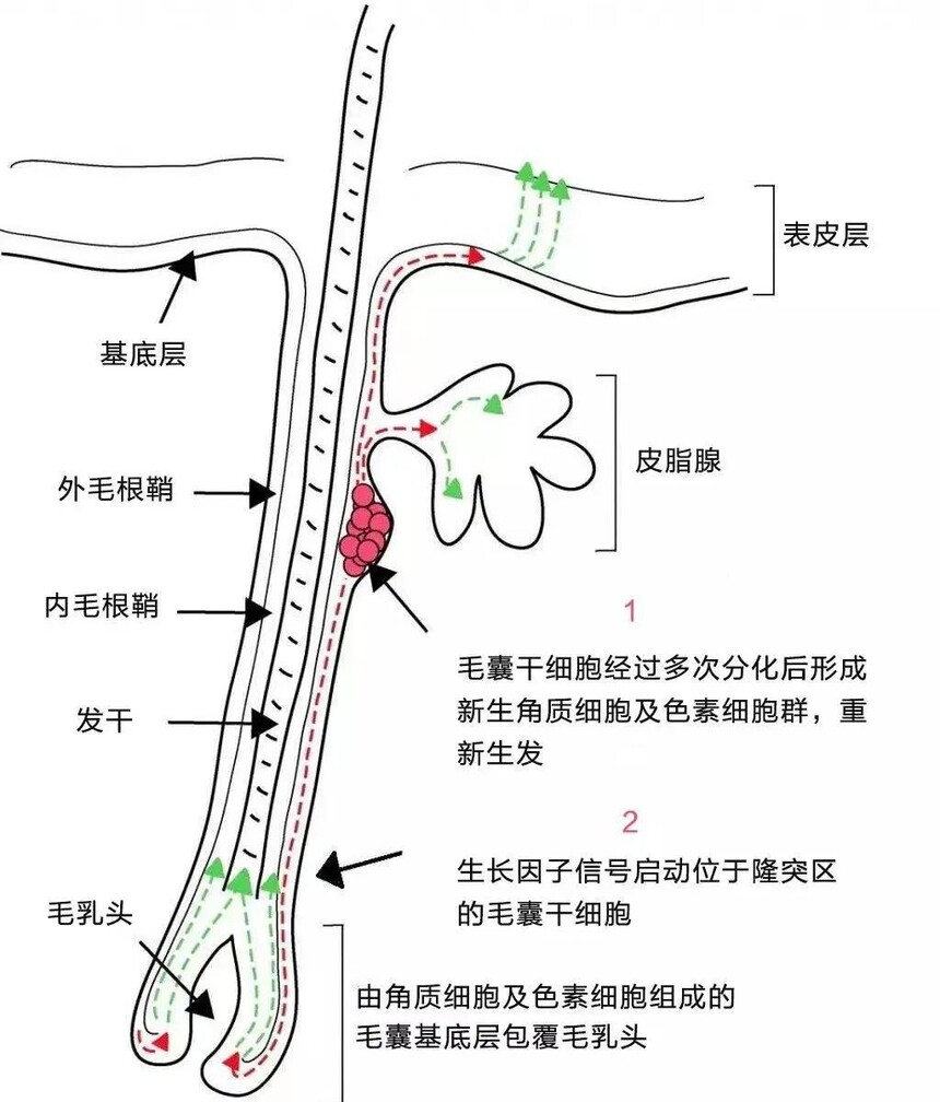 555.jpg