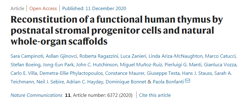 1613701201370128.png image.png