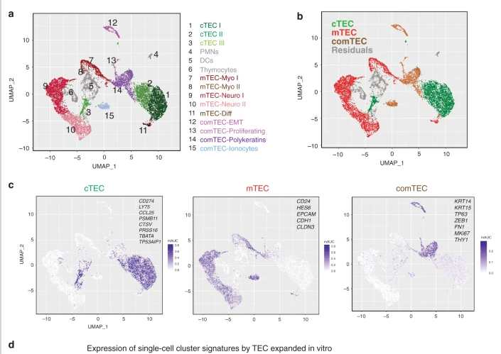 1613701222767444.png image.png