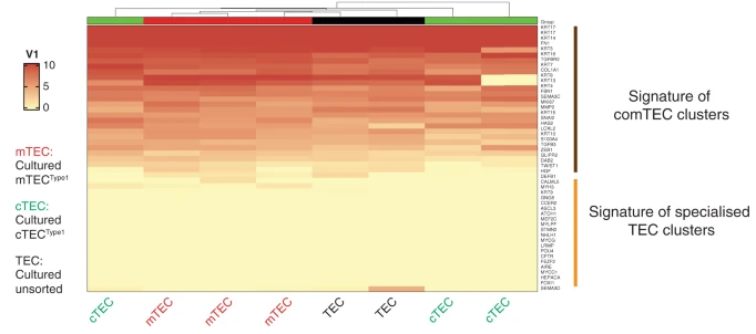 1613701232113108.png image.png