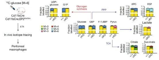 1613703697928383.png image.png