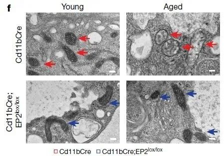 1613703710206726.png image.png