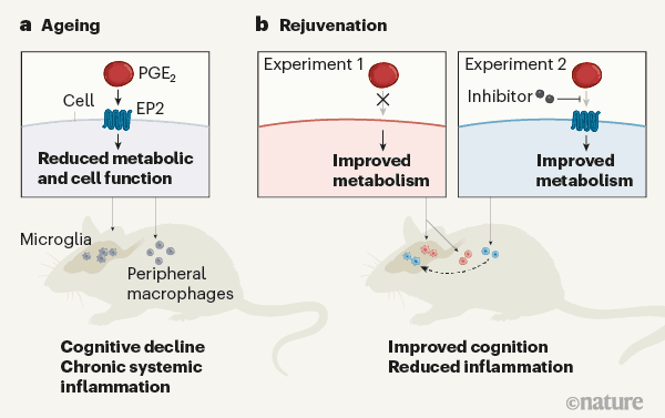 1613703727600134.png image.png