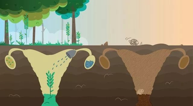 1618197432892872.png image.png