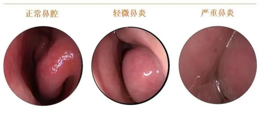 1620271423906627.png image.png