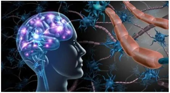 1620278415150026.png image.png