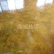 多雨季節對地坪漆施工的影響詳細介紹