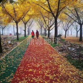 彩色陶瓷顆粒路面