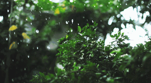 6.gif
