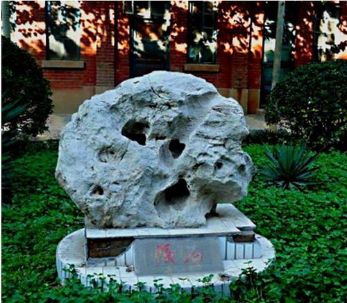 zhaoxin.jpg