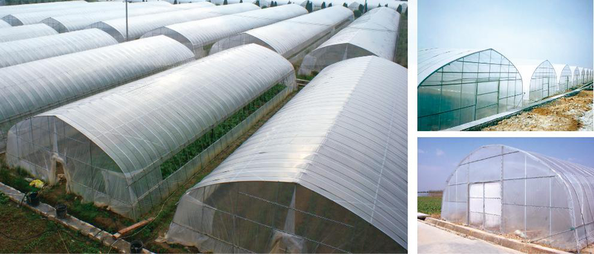 Single-Span Greenhouse.png