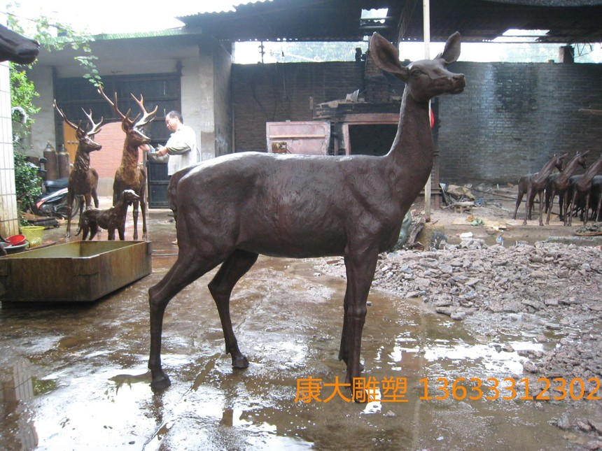 BR137AP160X174X54.JPG
