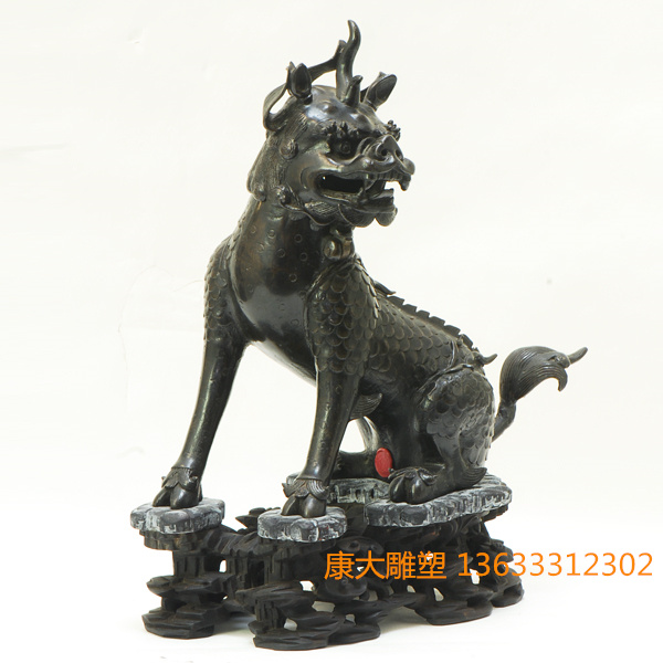srimg11469_1.jpg