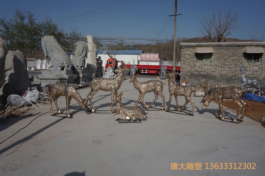 DSC02382.JPG