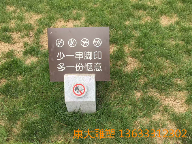 mmexport1536032744557.jpg