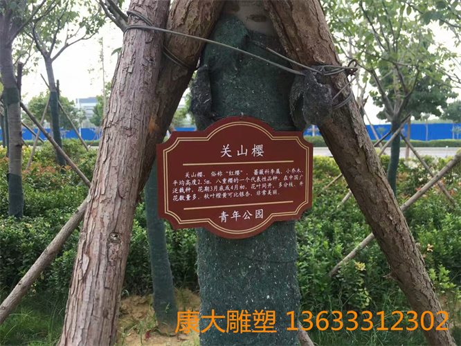 mmexport1536033083956.jpg