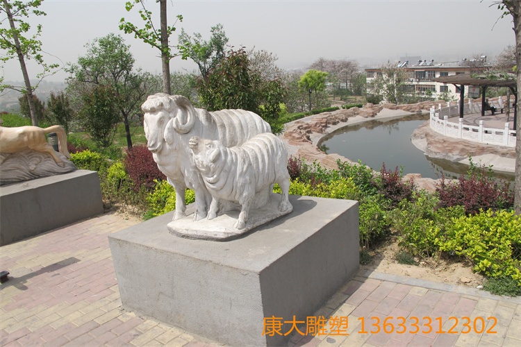 IMG_0260.JPG
