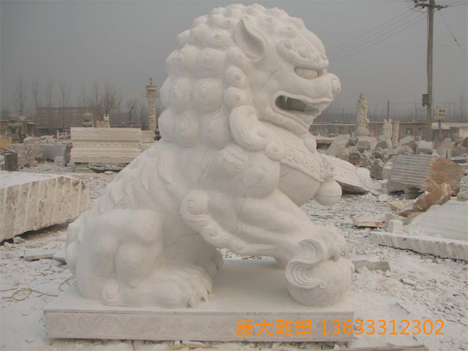 2008456915.jpg