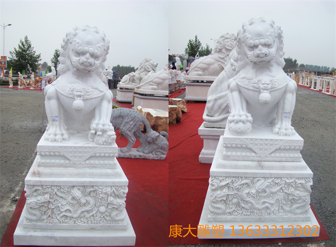 DSC00320 .jpg