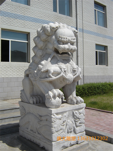 DSC02229.JPG