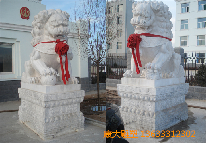 DSC02710 .jpg