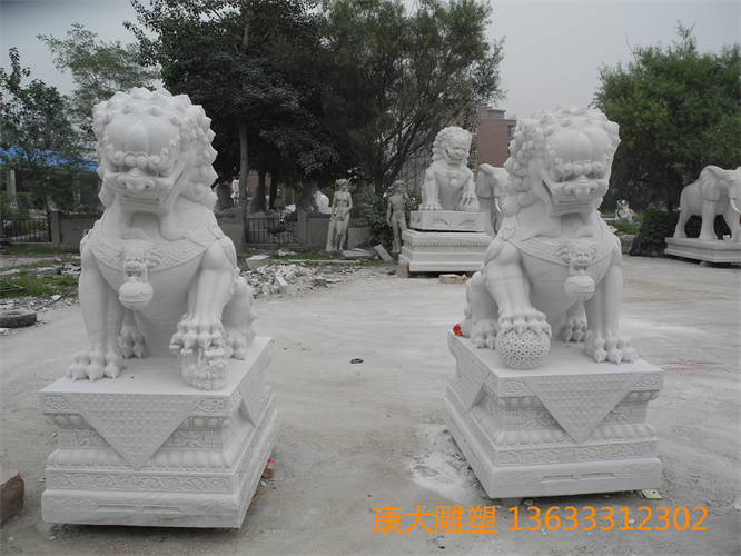 DSCN1250.jpg