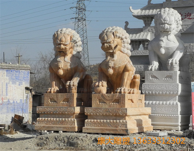 DSCN9490 .jpg