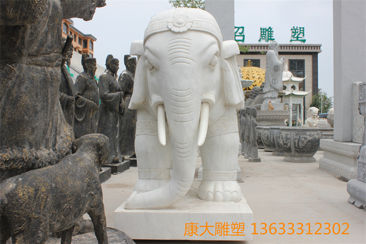 IMG_4647.JPG