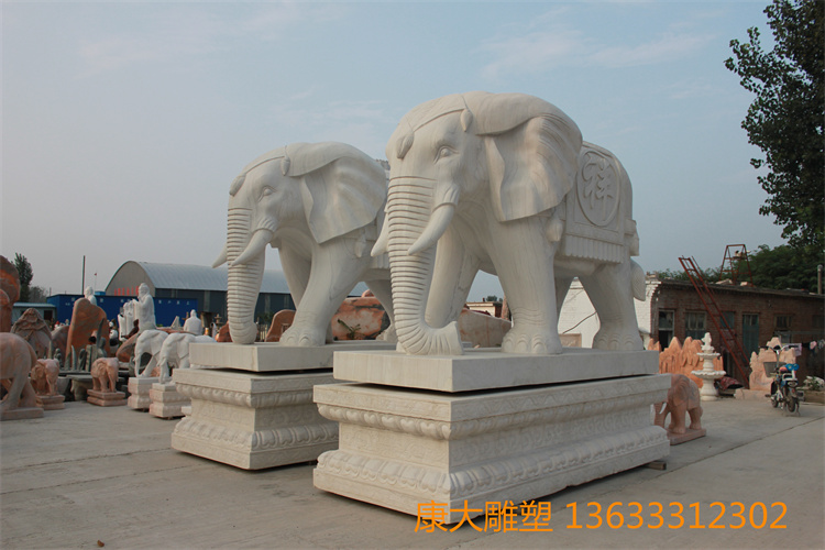 IMG_5769.JPG