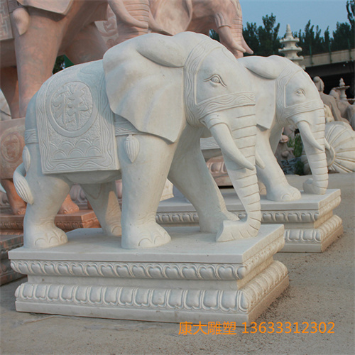 IMG_5778.JPG