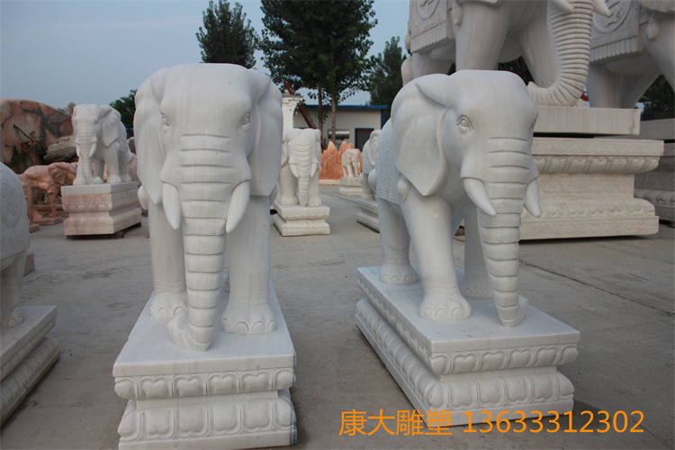 IMG_5787.JPG