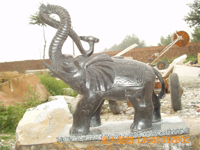 P1010004.JPG