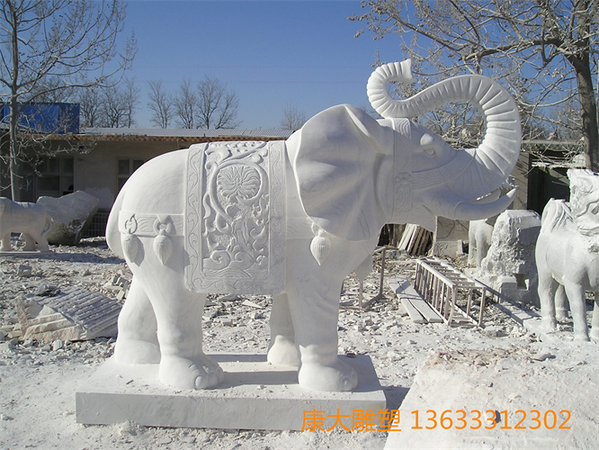 PC180001.JPG