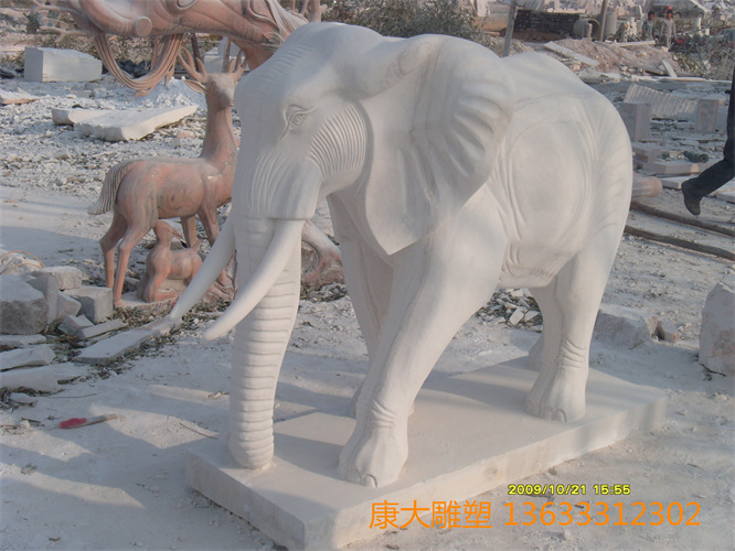 S73R1827.JPG