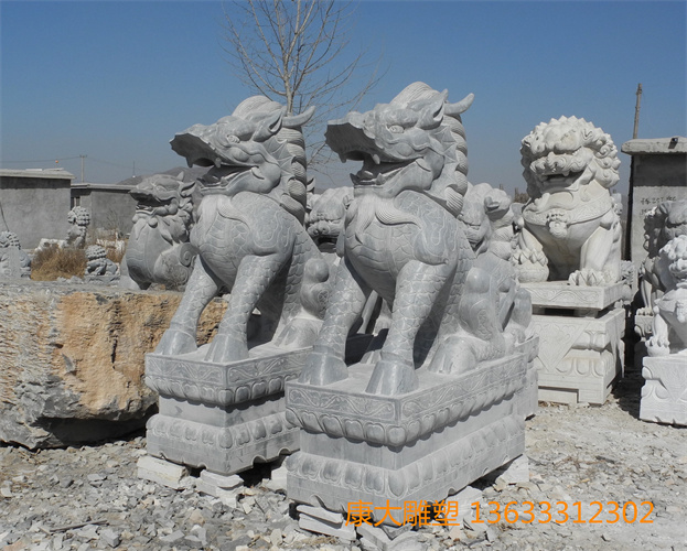 DSCN7442.JPG