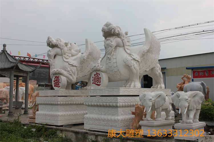 IMG_5420.JPG