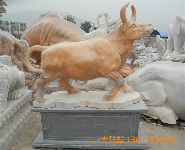 DSCN1261.jpg