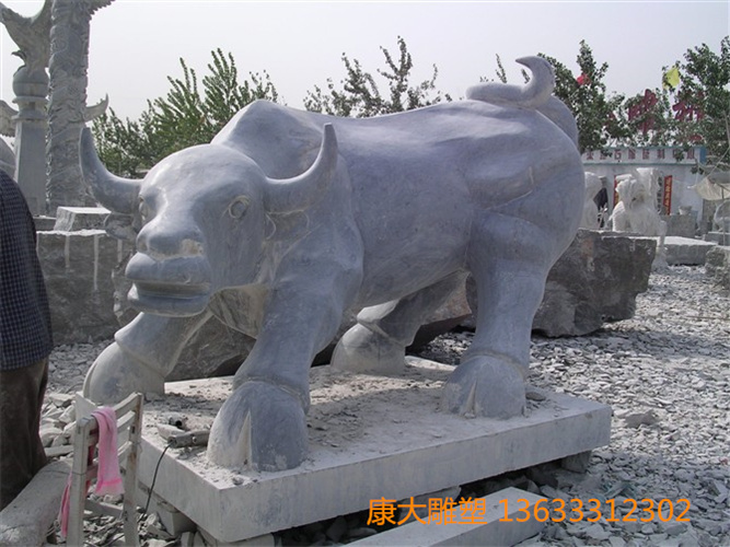 DSCN2349.jpg