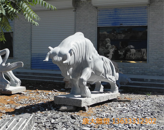 DSCN9595.JPG