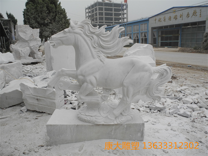 DSCN1220.jpg