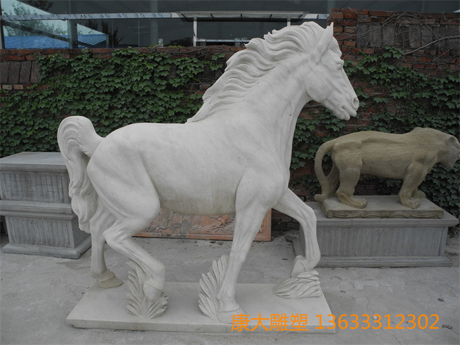 DSCN1780.jpg