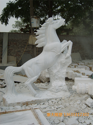 S8000254.JPG