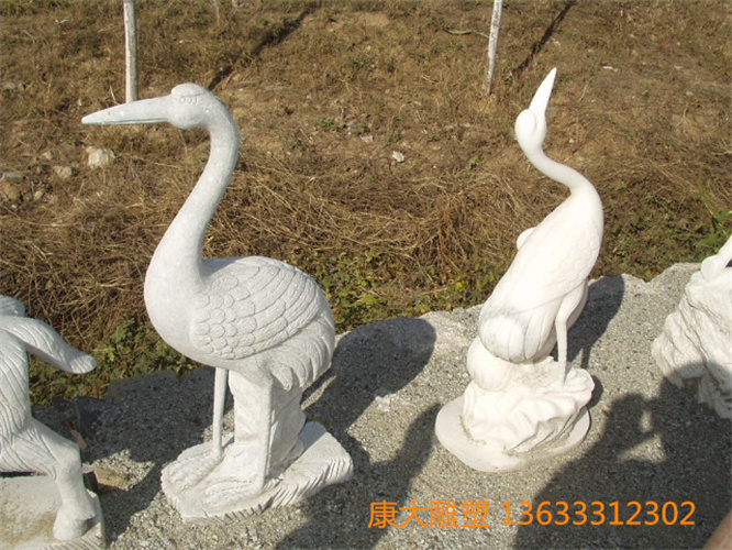 P1010025.jpg